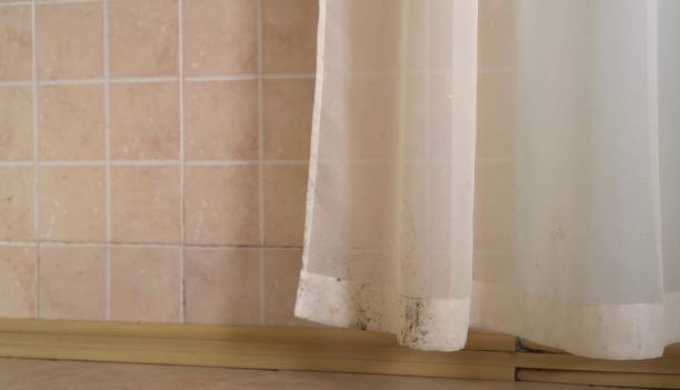 Best Dehumidification Services  in Terra Alta, WV