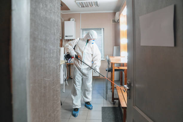 Best Biohazard Mold Removal  in Terra Alta, WV