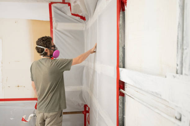 Best Mold Odor Removal Services  in Terra Alta, WV