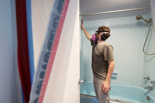 Best Mold Prevention Services  in Terra Alta, WV