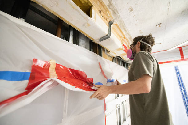  Terra Alta, WV Mold Removal Pros