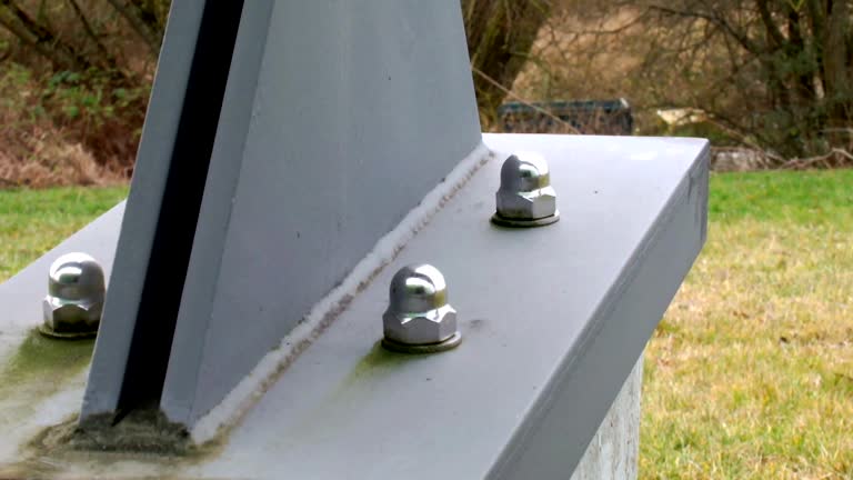 Best Commercial Mold Inspection  in Terra Alta, WV